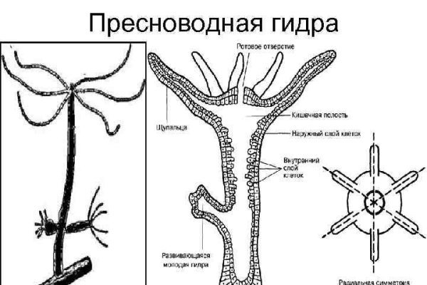 Кракен сайт krakens13 at