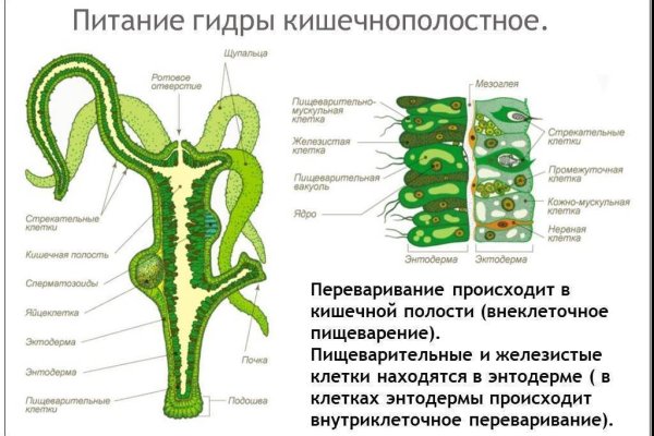 Как зайти на кракен через тор браузер