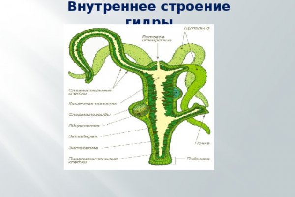 Кракен ссылка vtor