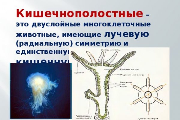 Найти ссылку кракен