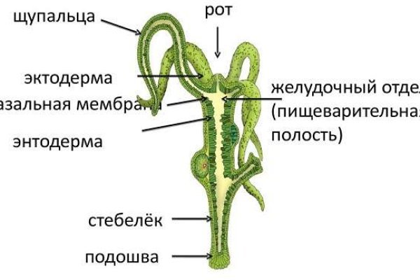 Кракен даркнет не работает